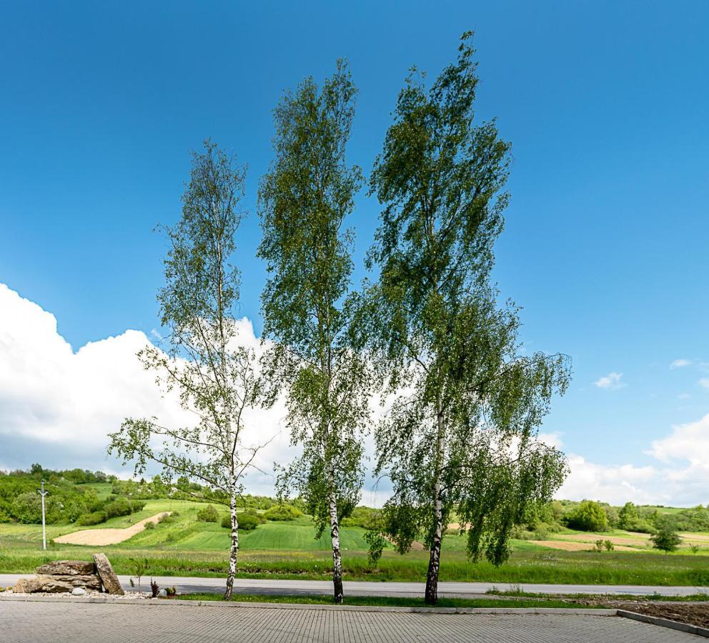 Agrohotel Tri Brezy Hrustin Exterior foto